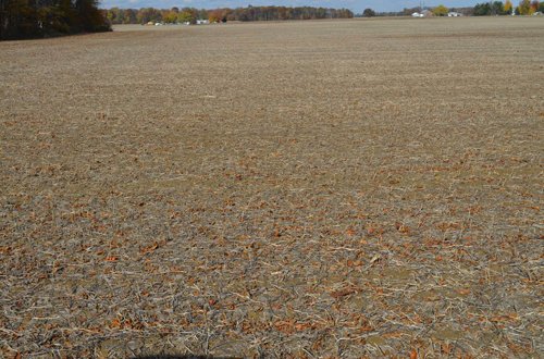 Property photo 13 - 75.3 Acres Offered in 2 Tracts